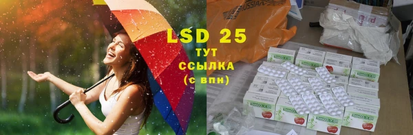 эйфоретик Аркадак
