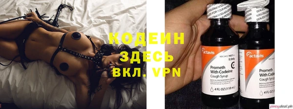 эйфоретик Аркадак