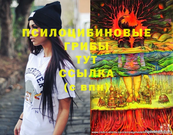 МДМА Арсеньев