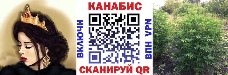 где продают   Старая Купавна  Конопля MAZAR 